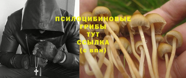синтетический гашиш Алексеевка