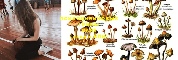 синтетический гашиш Алексеевка