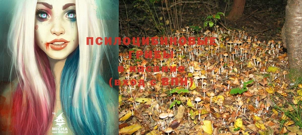 mdpv Хадыженск