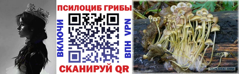 Псилоцибиновые грибы мухоморы  Одинцово 